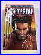 Wolverine Omnibus Vol 1 Mcniven DM Cover